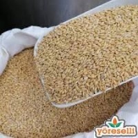 Gendime -Den ( Aşurelik Buğday) 1000 g-